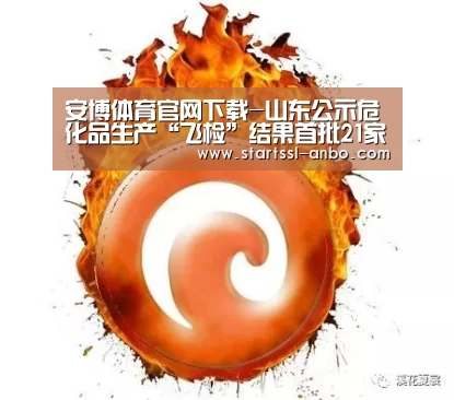 安博体育官网下载-山东公示危化品生产“飞检”结果首批21家企业收到处罚决定书(图1) 安博体育官网下载