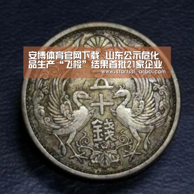 安博体育官网下载-山东公示危化品生产“飞检”结果首批21家企业收到处罚决定书(图4) 安博体育官网下载