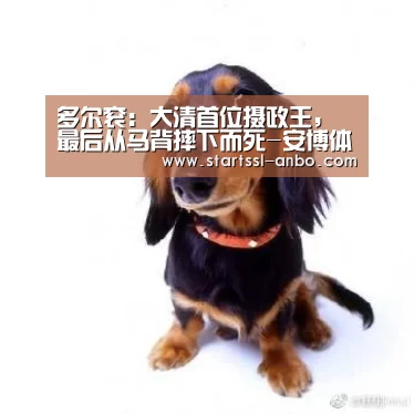 安博体育官网下载