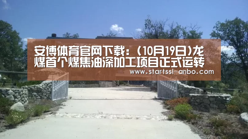 安博体育官网下载:(10月19日)龙煤首个煤焦油深加工项目正式运转调试(图2) 安博体育官网下载