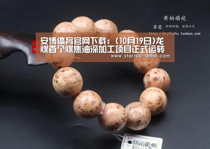 安博体育官网下载:(10月19日)龙煤首个煤焦油深加工项目正式运转调试(图1) 安博体育官网下载